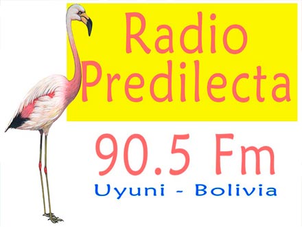 Radio Predilecta 90.5 Fm